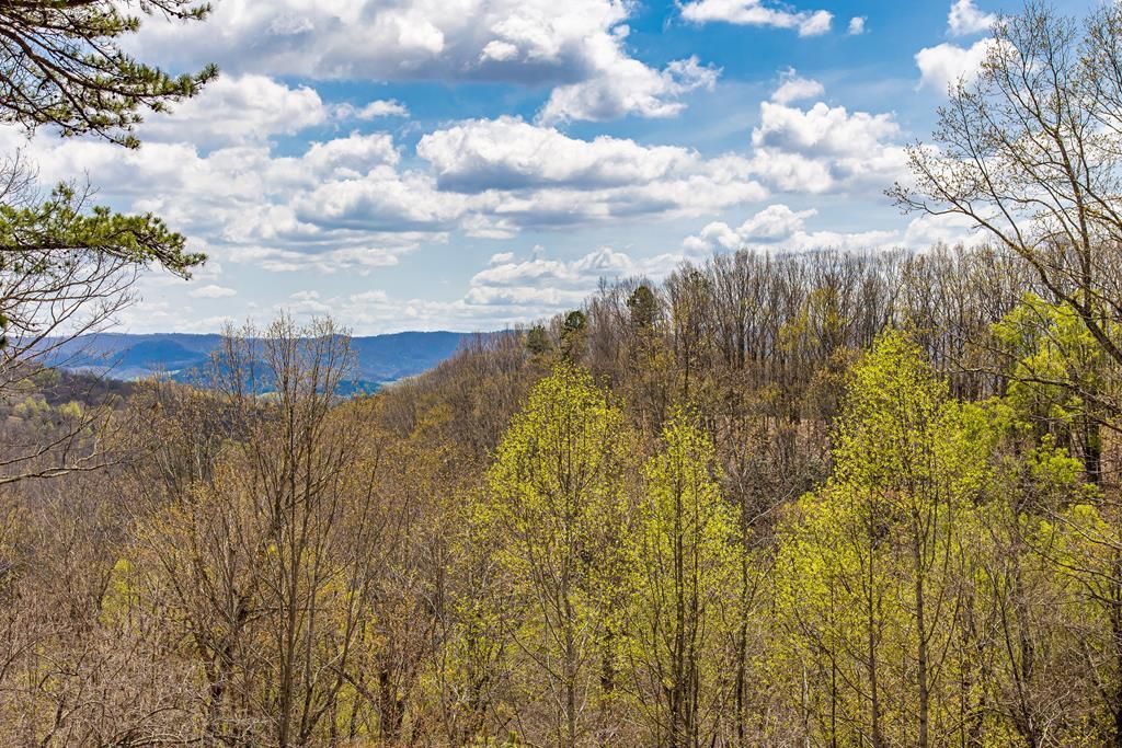 Photo of 760 Walkers Creek Rd #45-A-99A, Marion, VA 24354 (MLS # 109522)