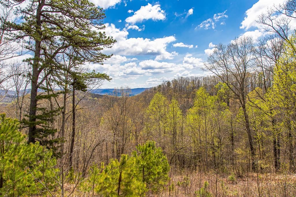 Photo of 760 Walkers Creek Rd #45-A-99A, Marion, VA 24354 (MLS # 109522)