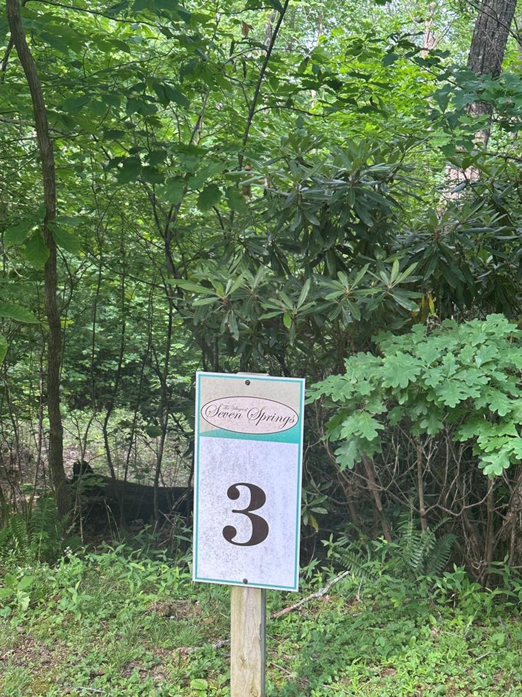 Photo of TBD TBD Seven Springs #3, Ararat, VA 24328 (MLS # 100790)