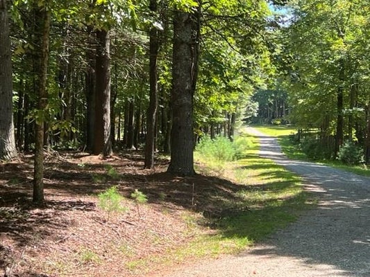 ADDRESS PRIVATE, WOODLAWN, VA 24381 - Image 75fdaec2f7155c169cd6ad413ef4d846/1708172378