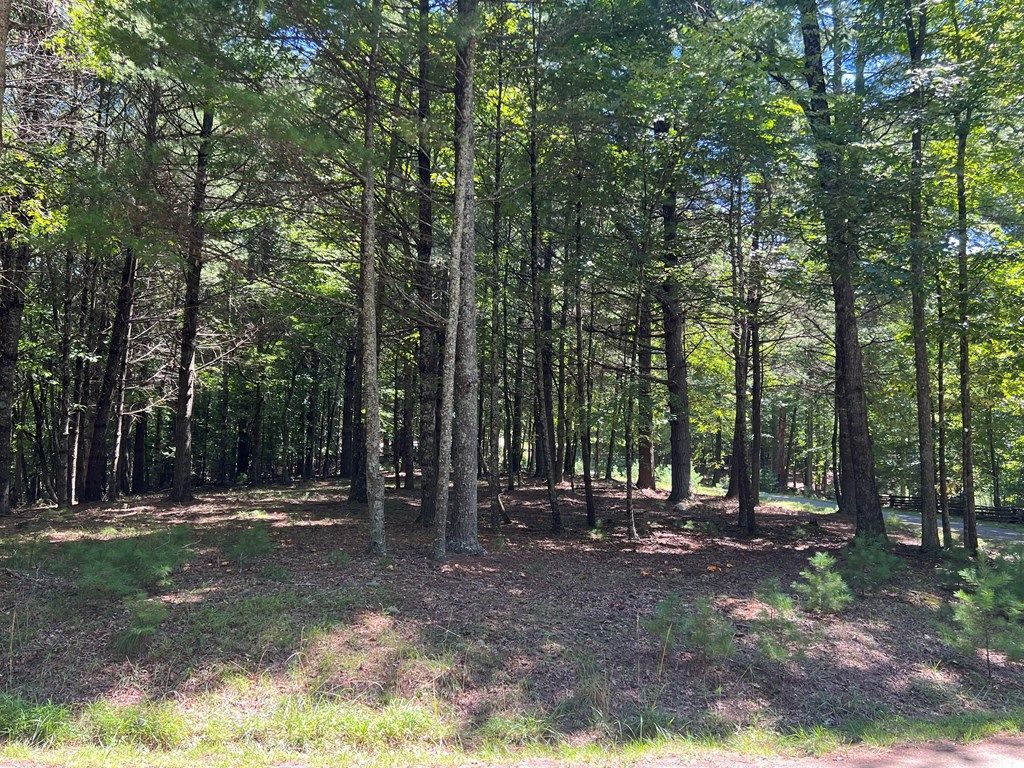 Photo of TBD Cove Ln #7, Woodlawn, VA 24381 (MLS # 100072)