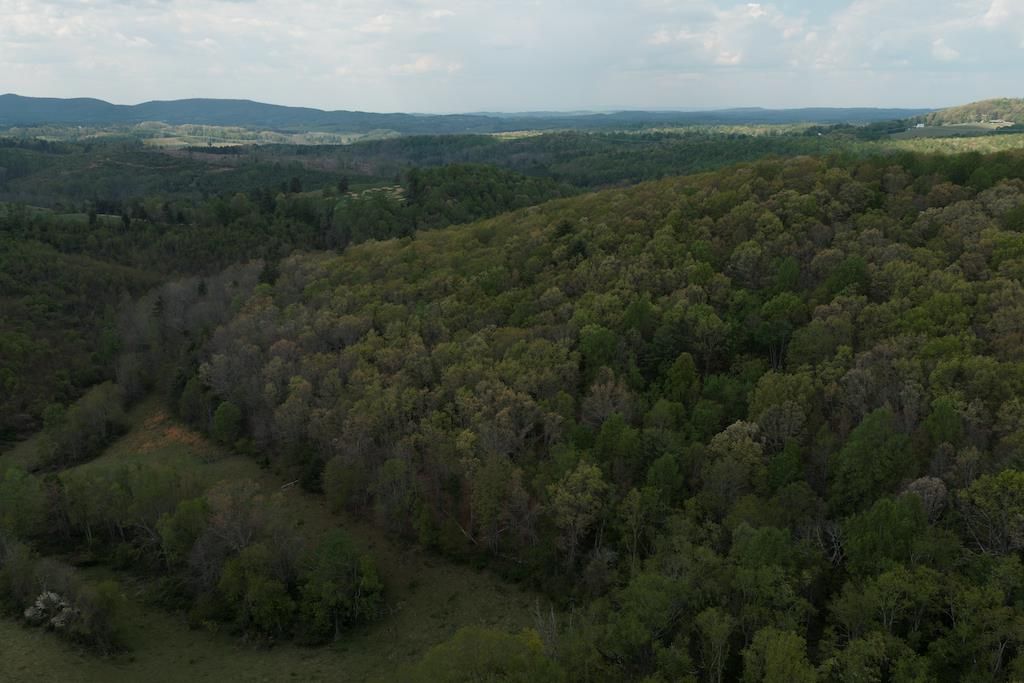 Photo of TBD Rock Hill Church Rd, Floyd, VA 24091 (MLS # 109813)