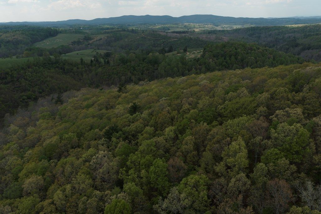 Photo of TBD Rock Hill Church Rd, Floyd, VA 24091 (MLS # 109813)
