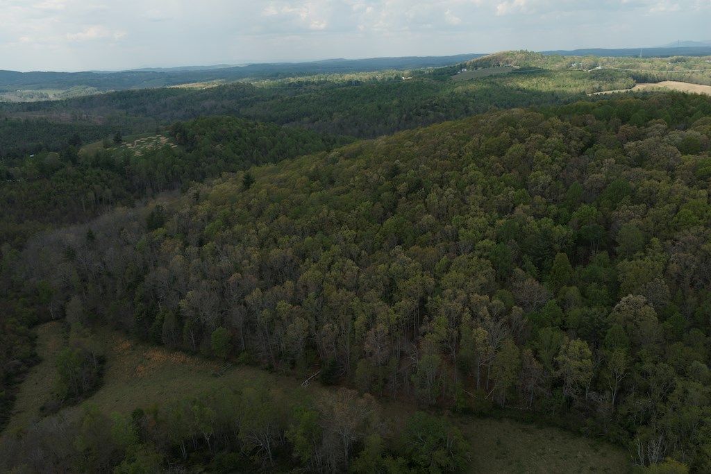 Photo of TBD Rock Hill Church Rd, Floyd, VA 24091 (MLS # 109813)