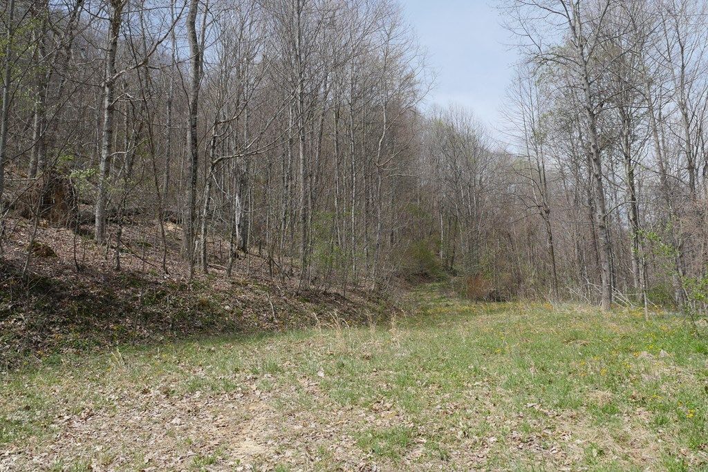 Photo of TBD Unity Road, Bluefield, VA 24605 (MLS # 109817)