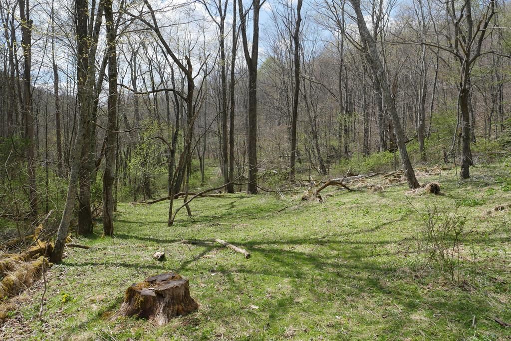 Photo of TBD Unity Road, Bluefield, VA 24605 (MLS # 109817)