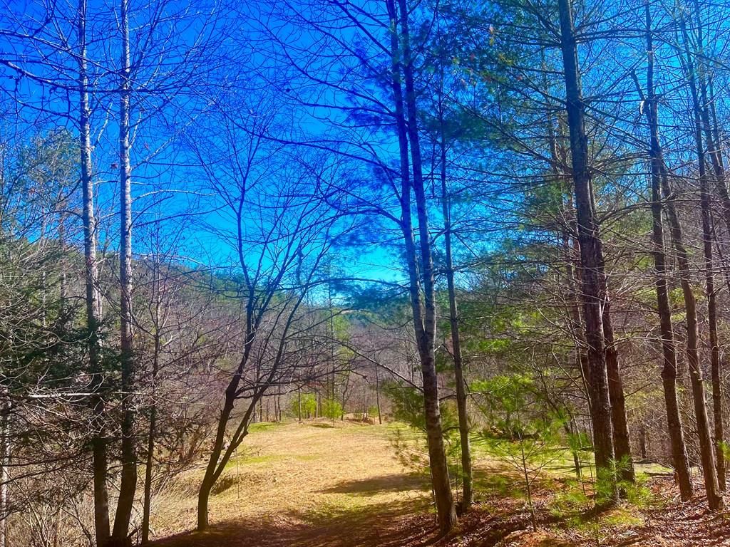 Photo of TBD Riverside Dr #7, 9A, Independence, VA 24348 (MLS # 109166)