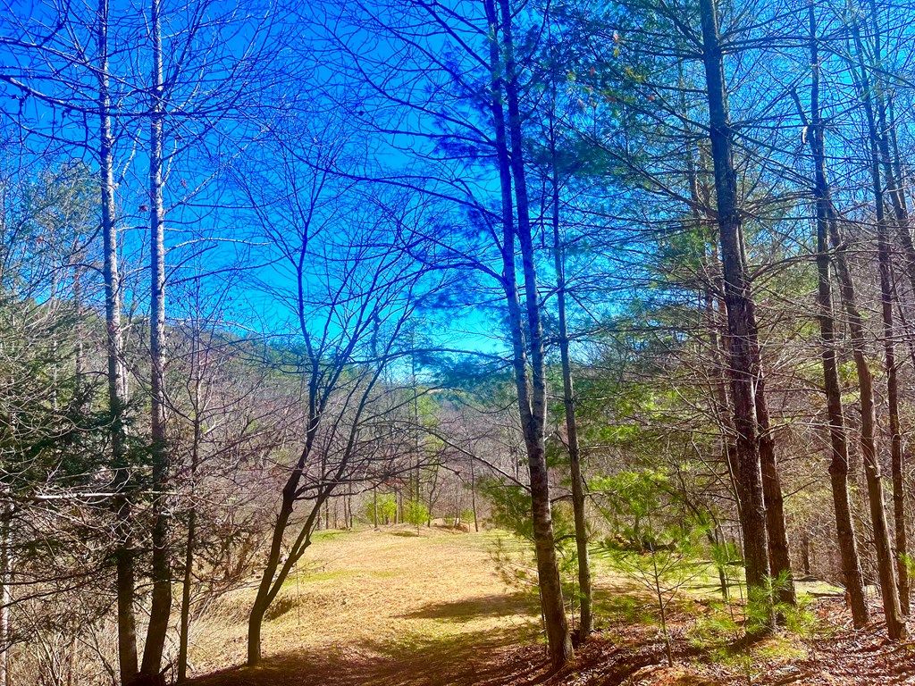 Photo of TBD Riverside Dr #7, 9A, Independence, VA 24348 (MLS # 109166)