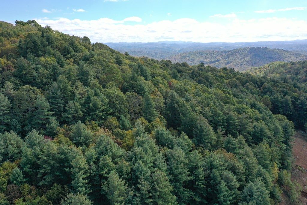 Photo of tbd Fannies Ln #5, Fries, VA 24330 (MLS # 103666)