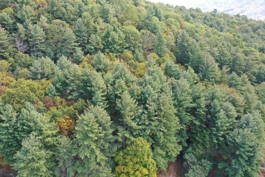 Photo of tbd Fannies Ln #5, Fries, VA 24330 (MLS # 103666)