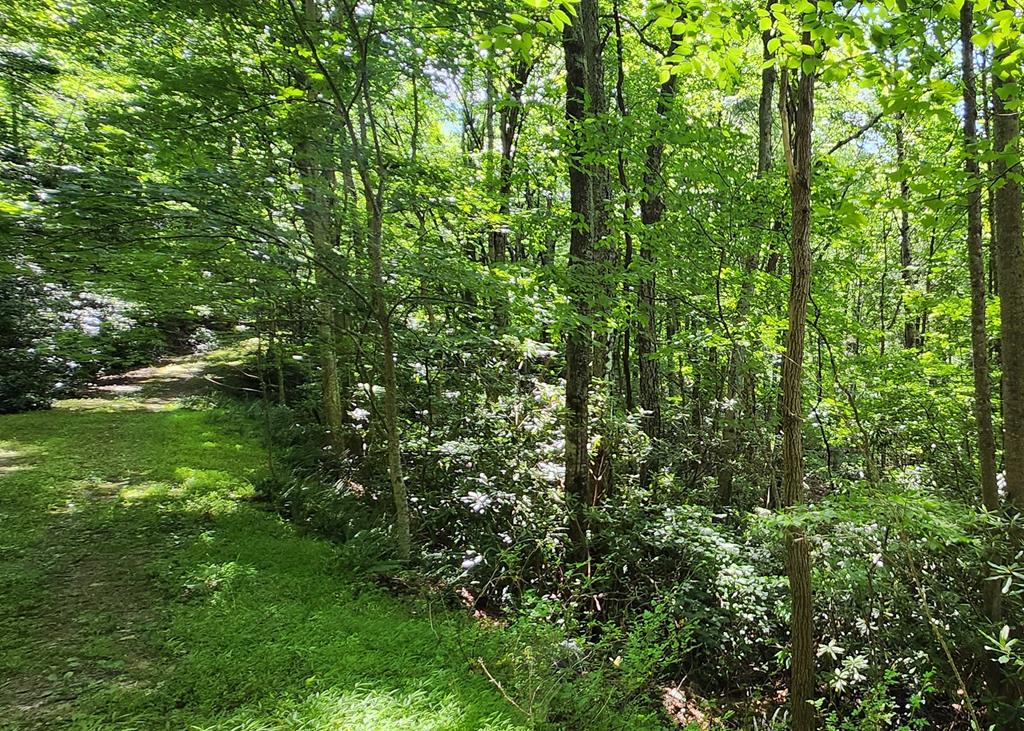 Photo of 16 Misty Dawn Trail #16, Fancy Gap, VA 24328 (MLS # 110784)