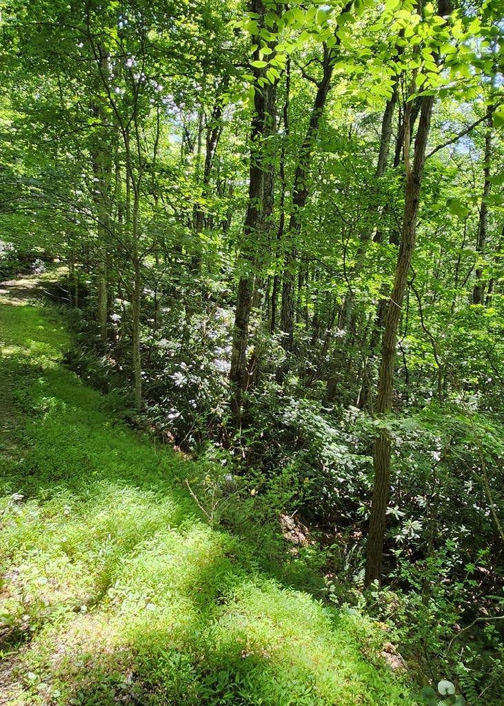 Photo of 16 Misty Dawn Trail #16, Fancy Gap, VA 24328 (MLS # 110784)