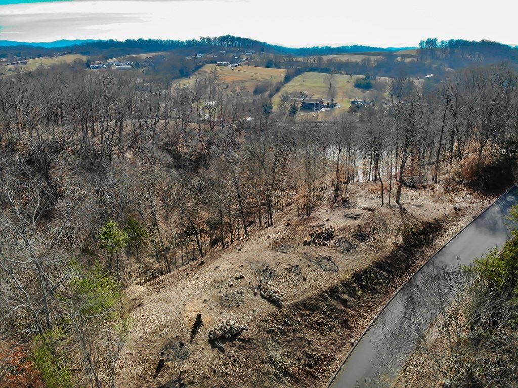 Photo of 101 Pointe Drive #2, Piney Flats, TN 37686 (MLS # 105880)