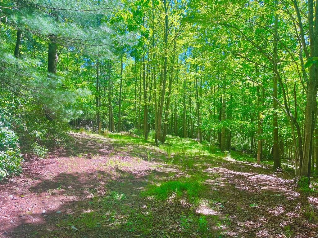 Photo of TBD Landmark Dr #32G, 32F, Stuart, VA 24171 (MLS # 110067)