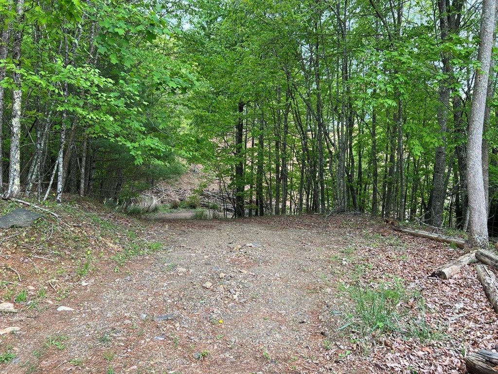 Photo of 389 Live Oak Ln #1-E1, Galax, VA 24333 (MLS # 99730)