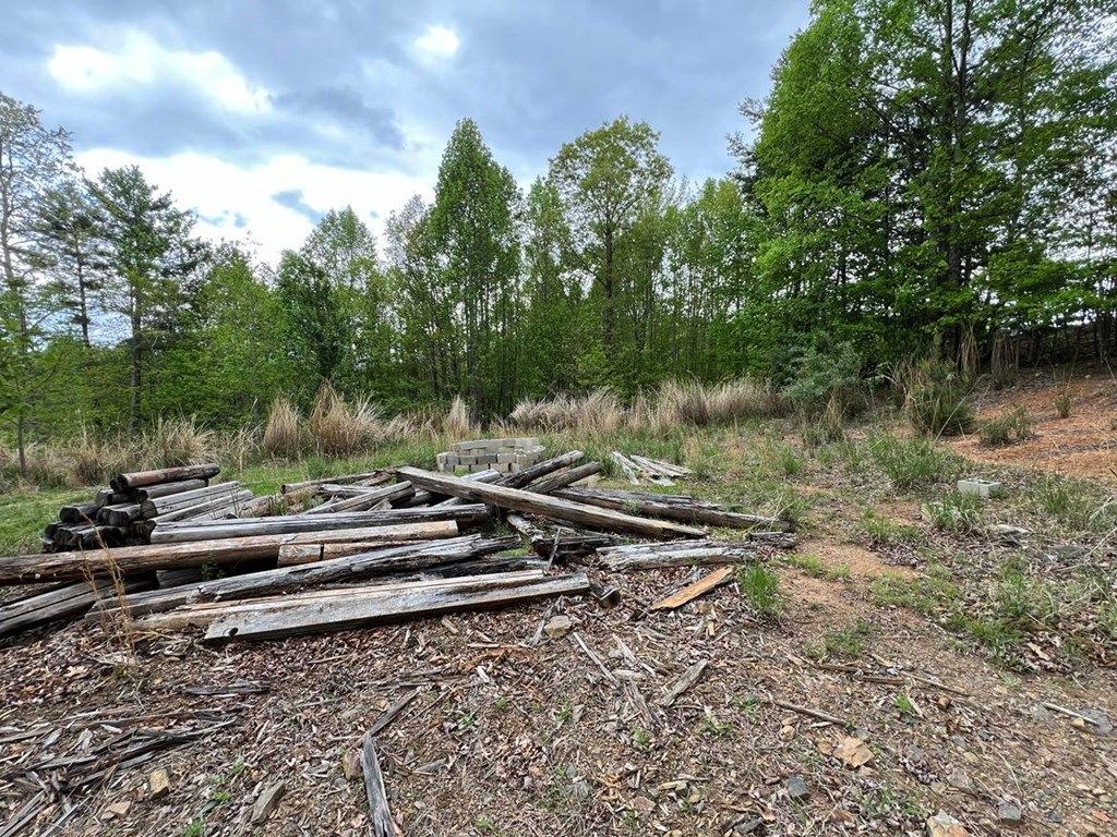 Photo of 389 Live Oak Ln #1-E1, Galax, VA 24333 (MLS # 99730)