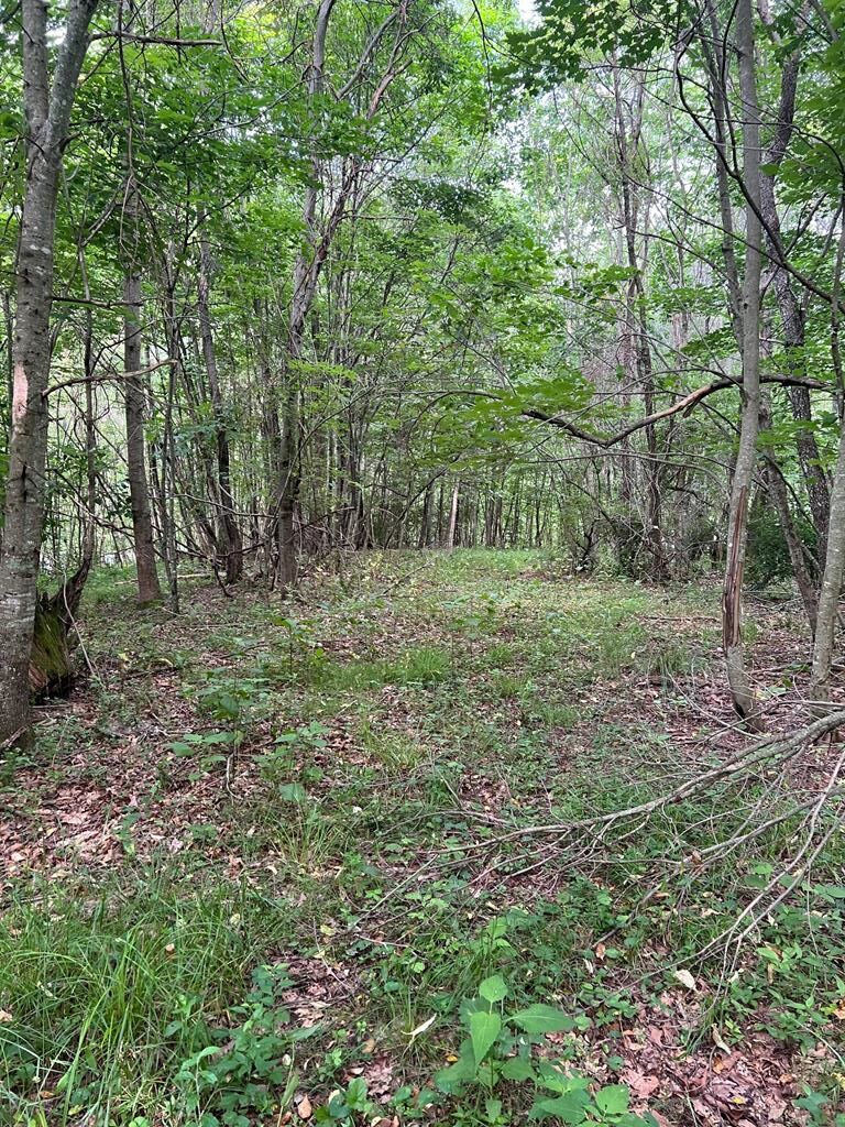 Photo of TBD Timberline Drive #29A-A-99A PT, Troutdale, VA 24378 (MLS # 111330)