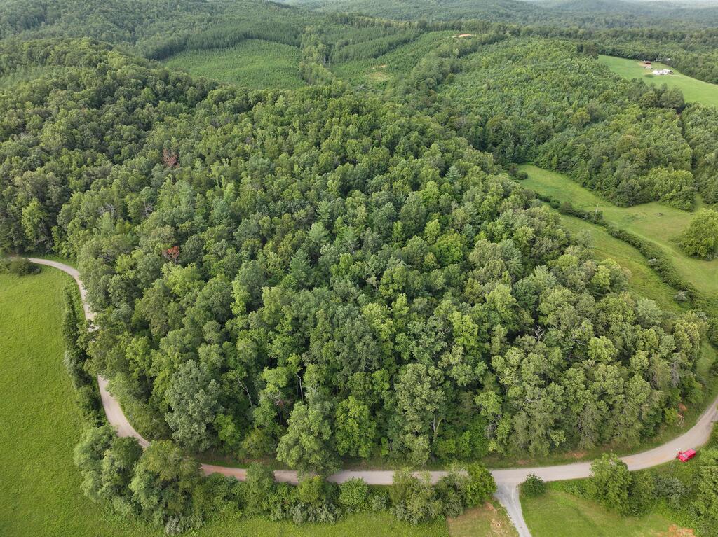Photo of 0 Deer Creek Run #n/a, Woolwine, VA 24185 (MLS # 111778)