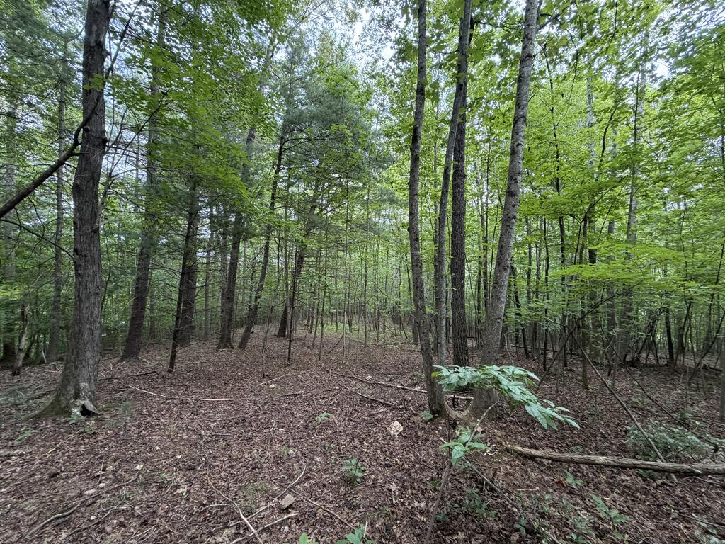 Photo of 0 Deer Creek Run #n/a, Woolwine, VA 24185 (MLS # 111778)