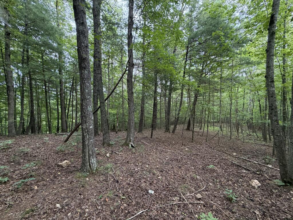 Photo of 0 Deer Creek Run #n/a, Woolwine, VA 24185 (MLS # 111778)