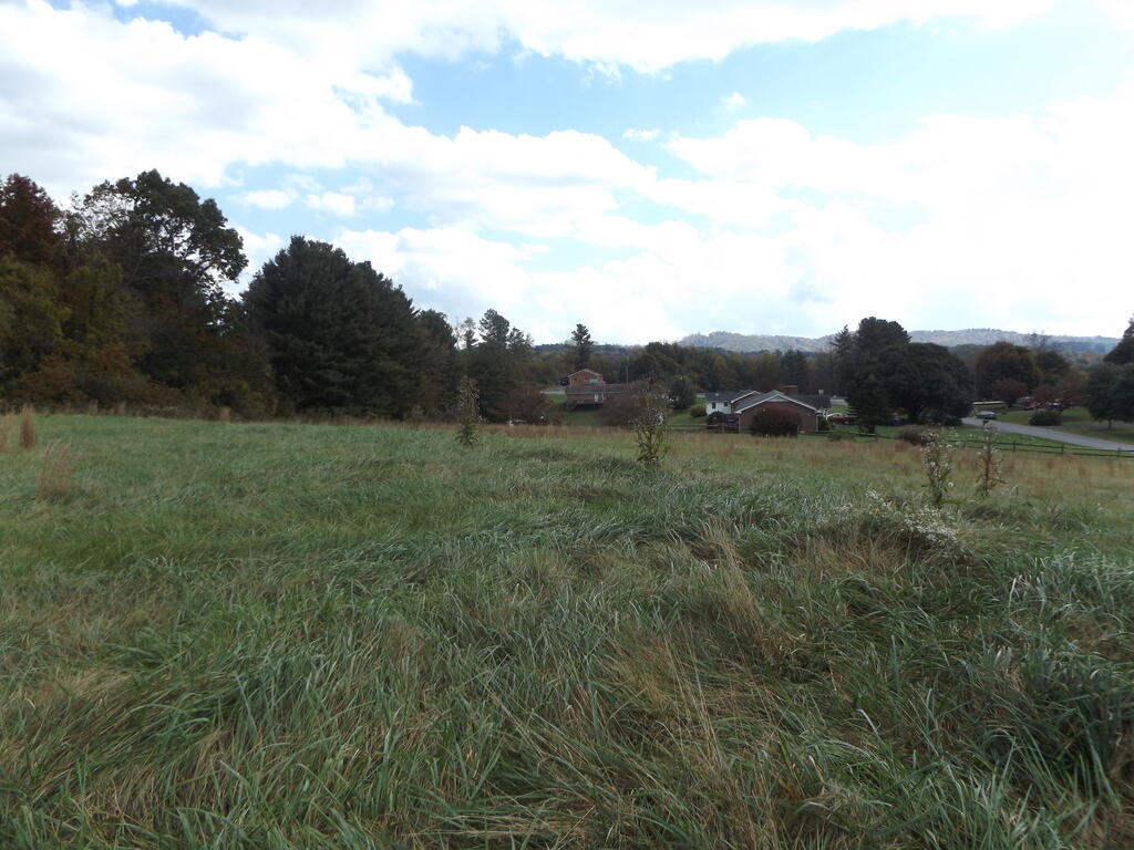 Photo of TBD Woodlawn Rd #1&amp;2, Woodlawn, VA 24381 (MLS # 112375)