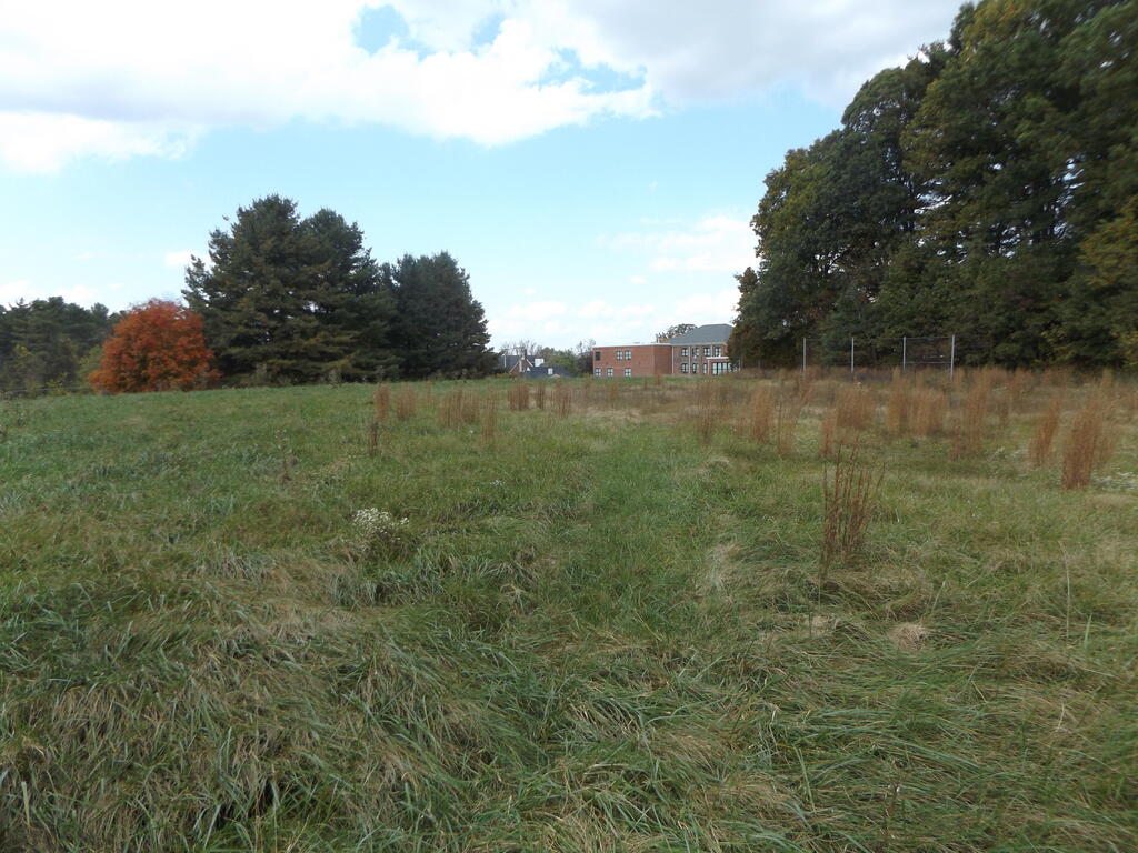 Photo of TBD Woodlawn Rd #1&amp;2, Woodlawn, VA 24381 (MLS # 112375)