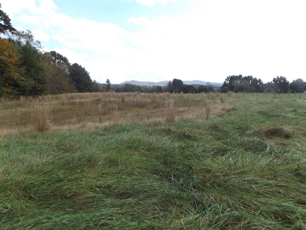 Photo of TBD Woodlawn Rd #1&amp;2, Woodlawn, VA 24381 (MLS # 112375)