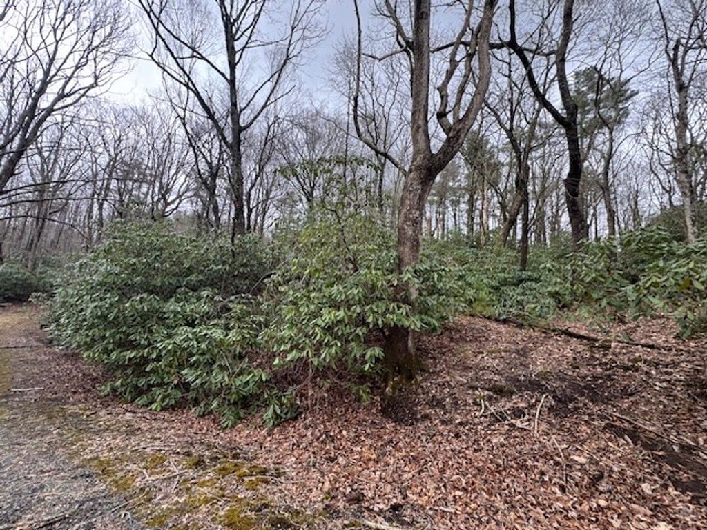 Photo of TBD Crooked Creek Lane #124-127A, Fancy Gap, VA 24328 (MLS # 99190)