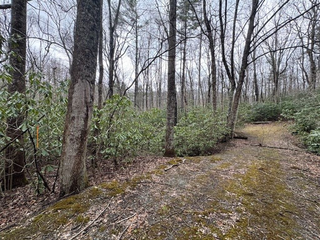 Photo of TBD Crooked Creek Lane #124-127A, Fancy Gap, VA 24328 (MLS # 99190)