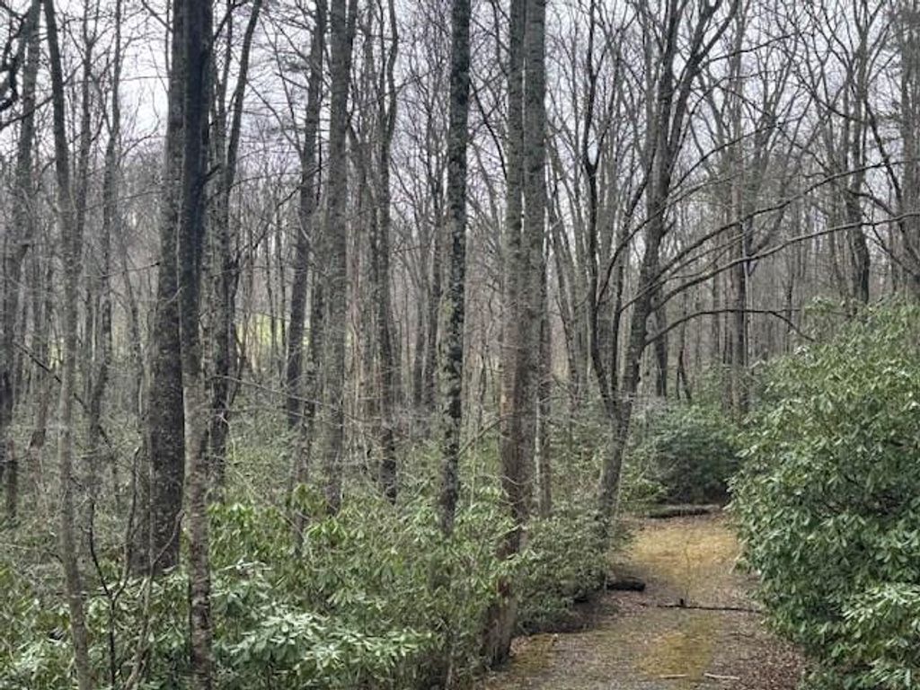 Photo of TBD Crooked Creek Lane #124-127A, Fancy Gap, VA 24328 (MLS # 99190)