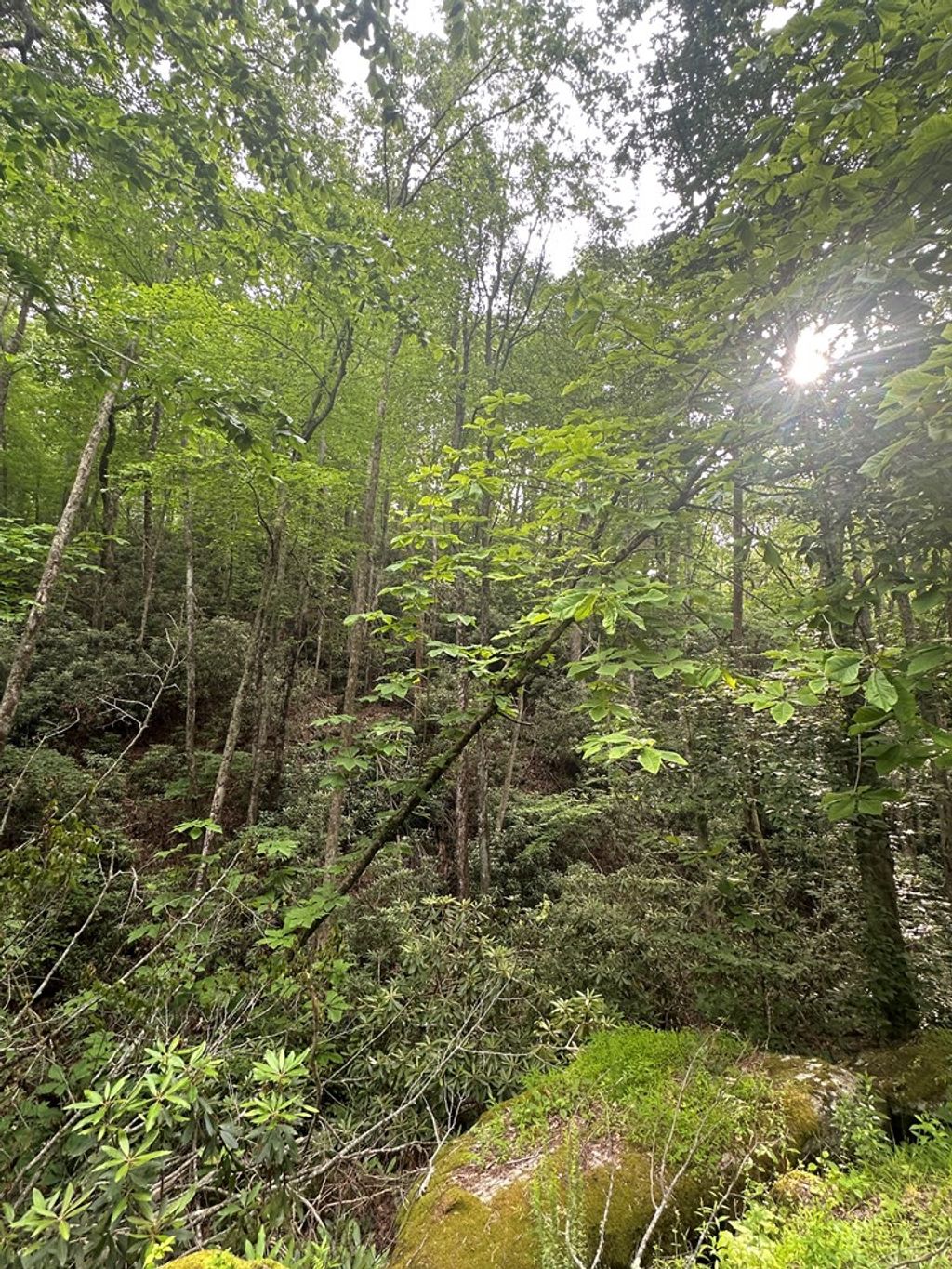 Photo of TBD TBD Seven Springs #1,2, and 3, Ararat, VA 24328 (MLS # 100791)