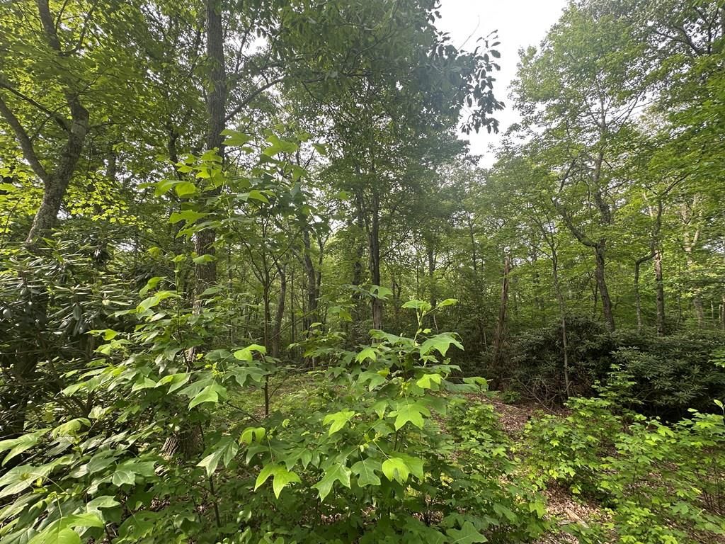 Photo of TBD TBD Seven Springs #1,2, and 3, Ararat, VA 24328 (MLS # 100791)