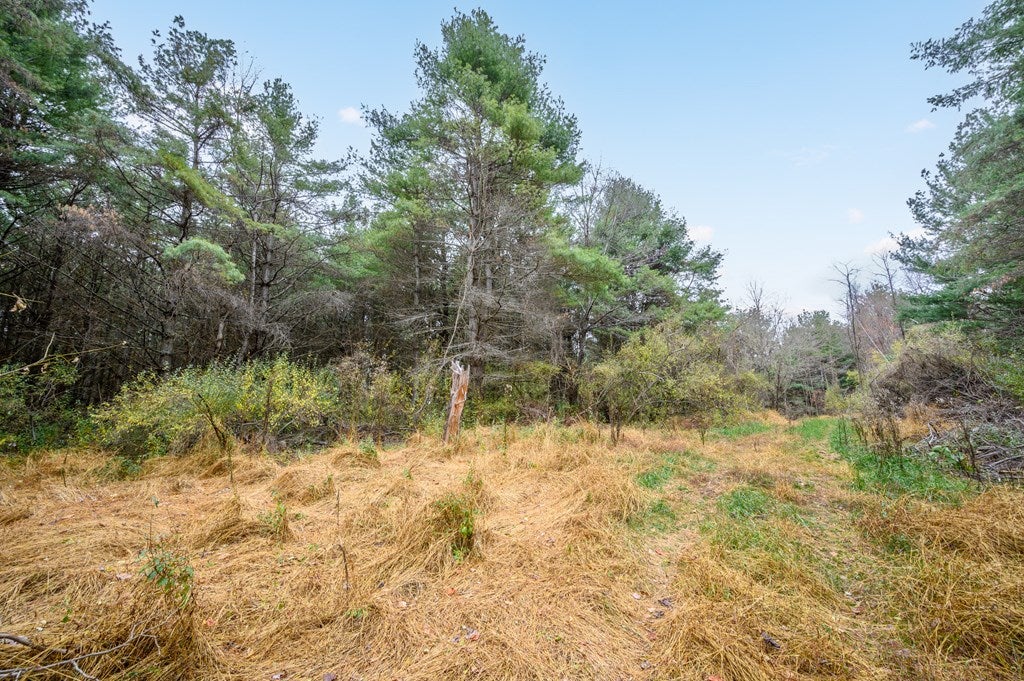 Photo of 595 Wild Cherry Road NE #0, Pilot, VA 24138 (MLS # 111464)