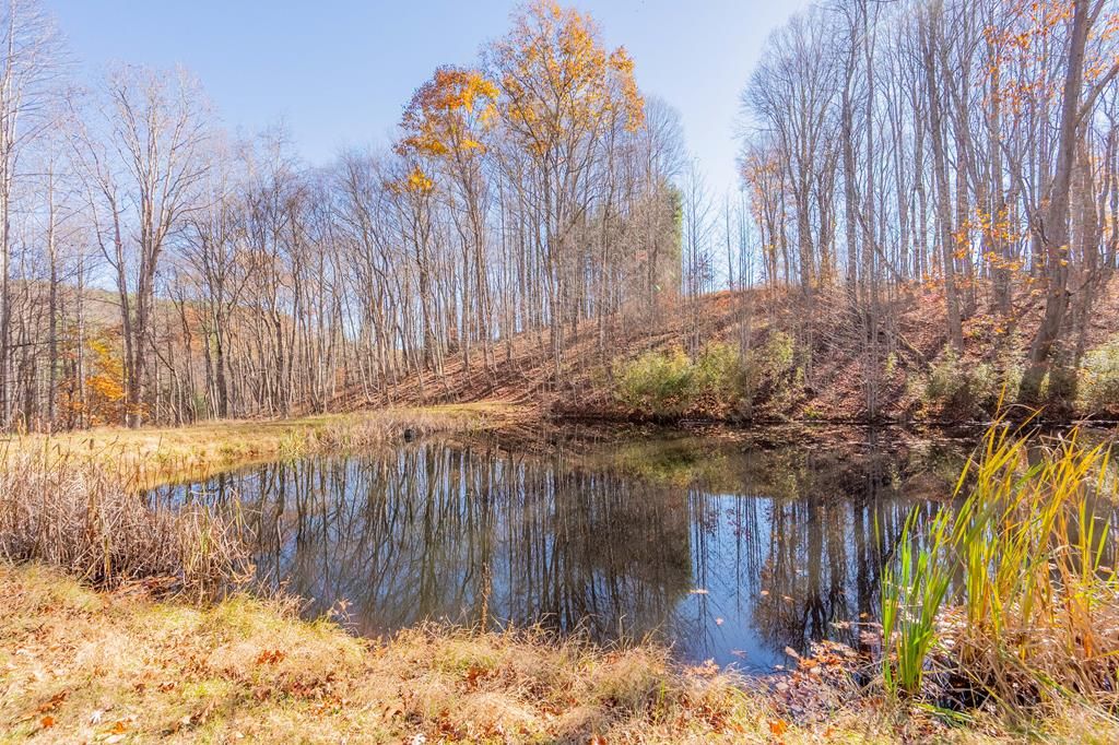Photo of 1126 Duncans Chapel Rd, Willis, VA 24380 (MLS # 104067)