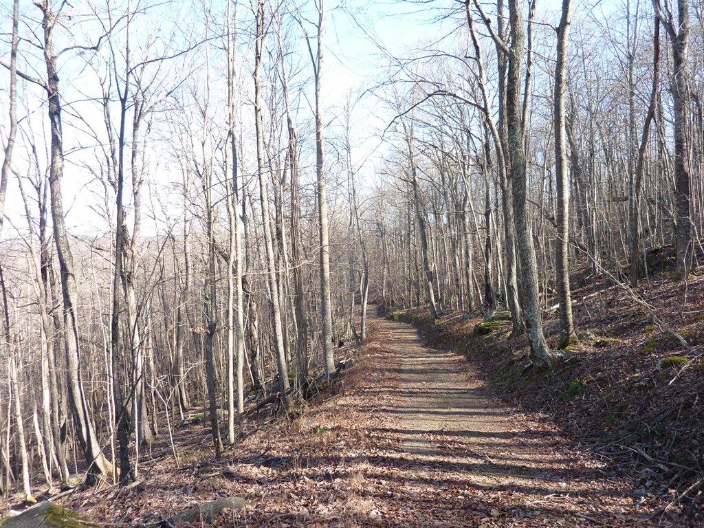 Photo of TBD Germantown Road #106107A108111, Meadows of Dan, VA 24120 (MLS # 85907)