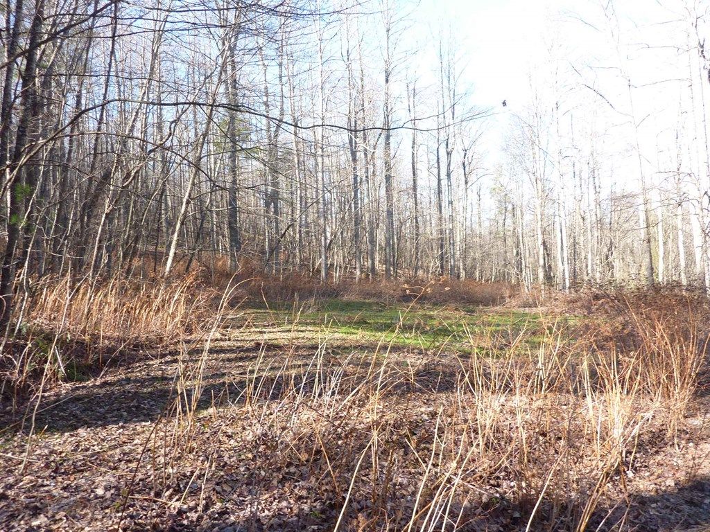 Photo of TBD Germantown Road #106107A108111, Meadows of Dan, VA 24120 (MLS # 85907)