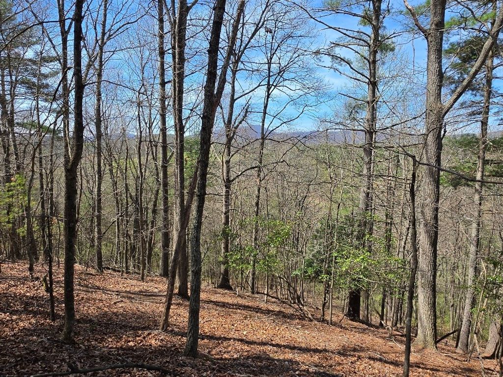 Photo of TBD Riverside Dr #0, Independence, VA 24348 (MLS # 109523)