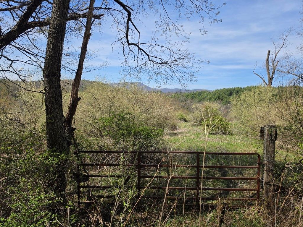 Photo of TBD Riverside Dr #0, Independence, VA 24348 (MLS # 109523)