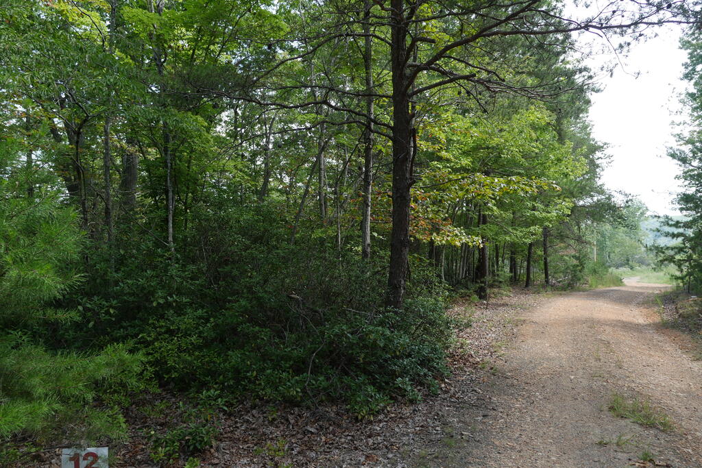 Photo of 0 Wesley Drive #12, Amherst, VA 24572 (MLS # 111815)