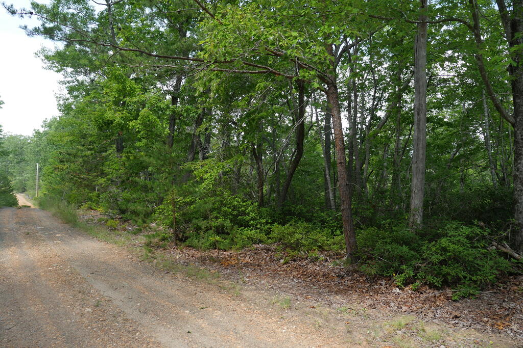 Photo of 0 Wesley Drive #12, Amherst, VA 24572 (MLS # 111815)
