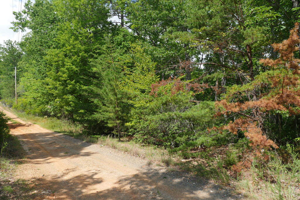 Photo of 0 Wesley Drive #12, Amherst, VA 24572 (MLS # 111815)