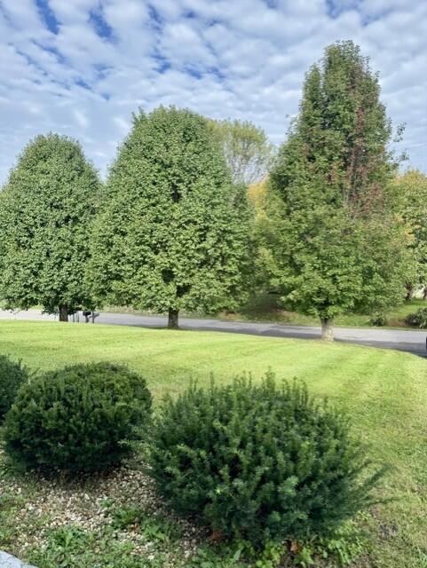 Photo of 1048 Poor Farm Rd, Lebanon, VA 24266 (MLS # 112339)