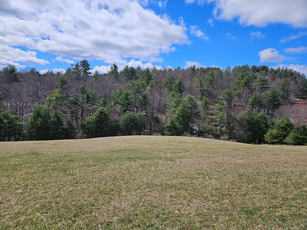Photo of TBD Turkey Run #12, Woodlawn, VA 24381 (MLS # 109221)