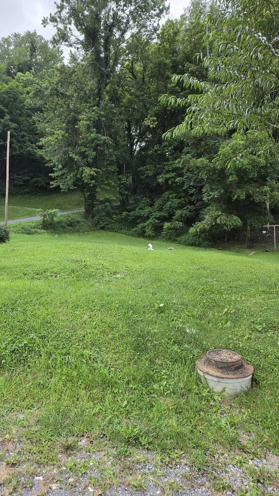 Photo of 508 Pearl Ave #22 23, Marion, VA 24354 (MLS # 111489)