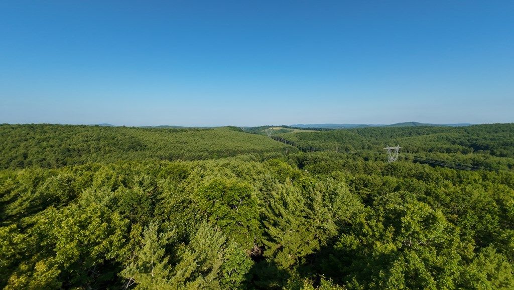 Photo of 1 Merifield RD NW #Tract 1, Willis, VA 24380 (MLS # 100402)