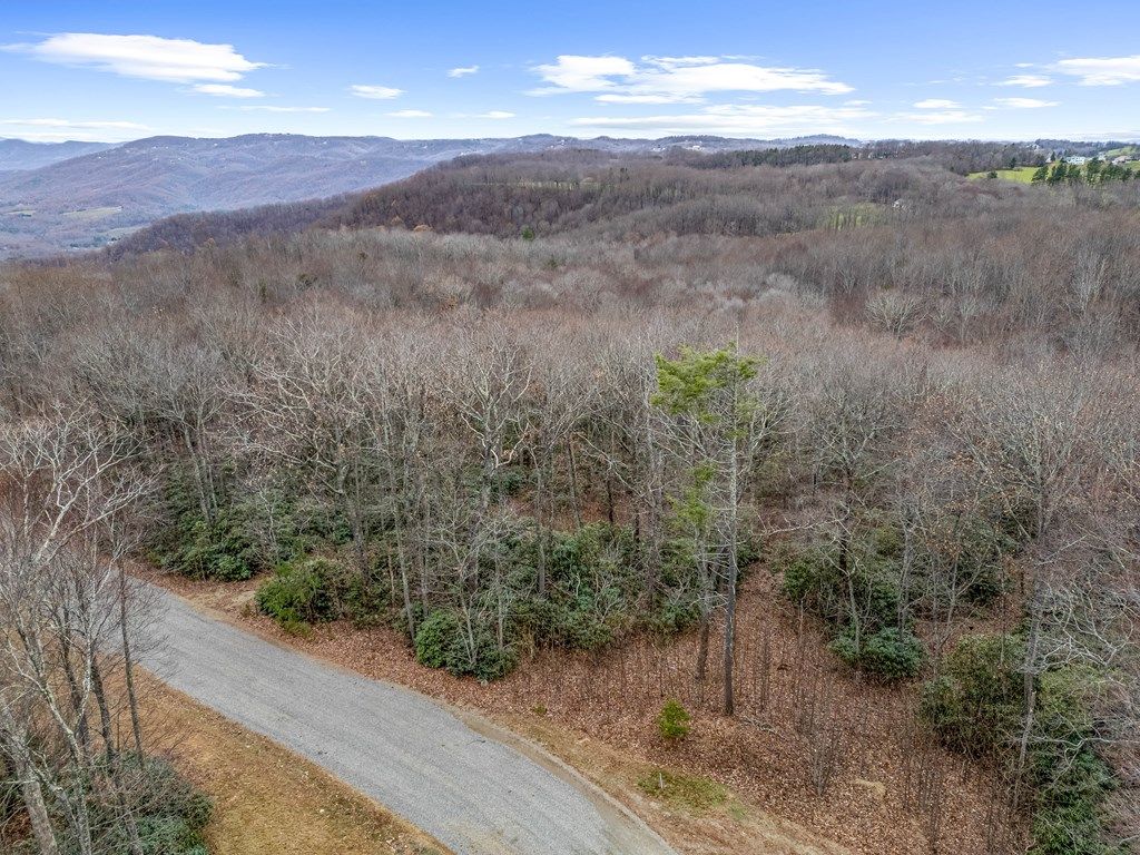 Photo of 23 W Pheasant Chase #23, Ararat, VA 24053 (MLS # 98085)
