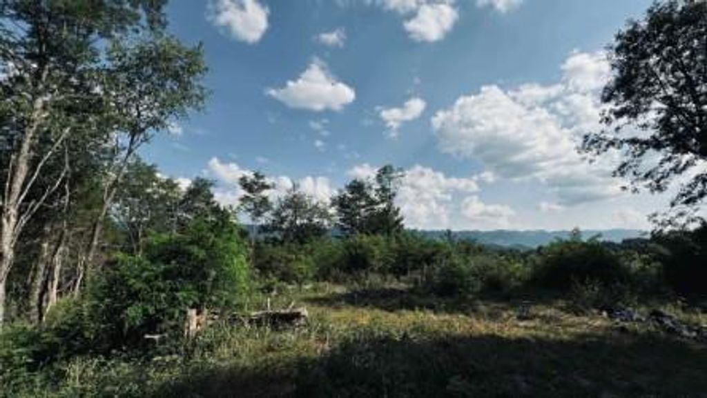 Photo of 0 TBD Martins Farm Rd #7-12, 51-52A, Cedar Bluff, VA 24609 (MLS # 103614)
