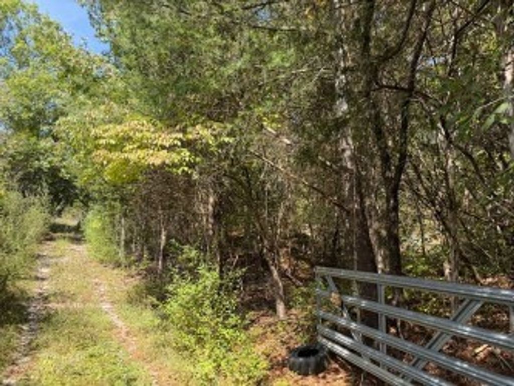 Photo of 0 TBD Martins Farm Rd #7-12, 51-52A, Cedar Bluff, VA 24609 (MLS # 103614)