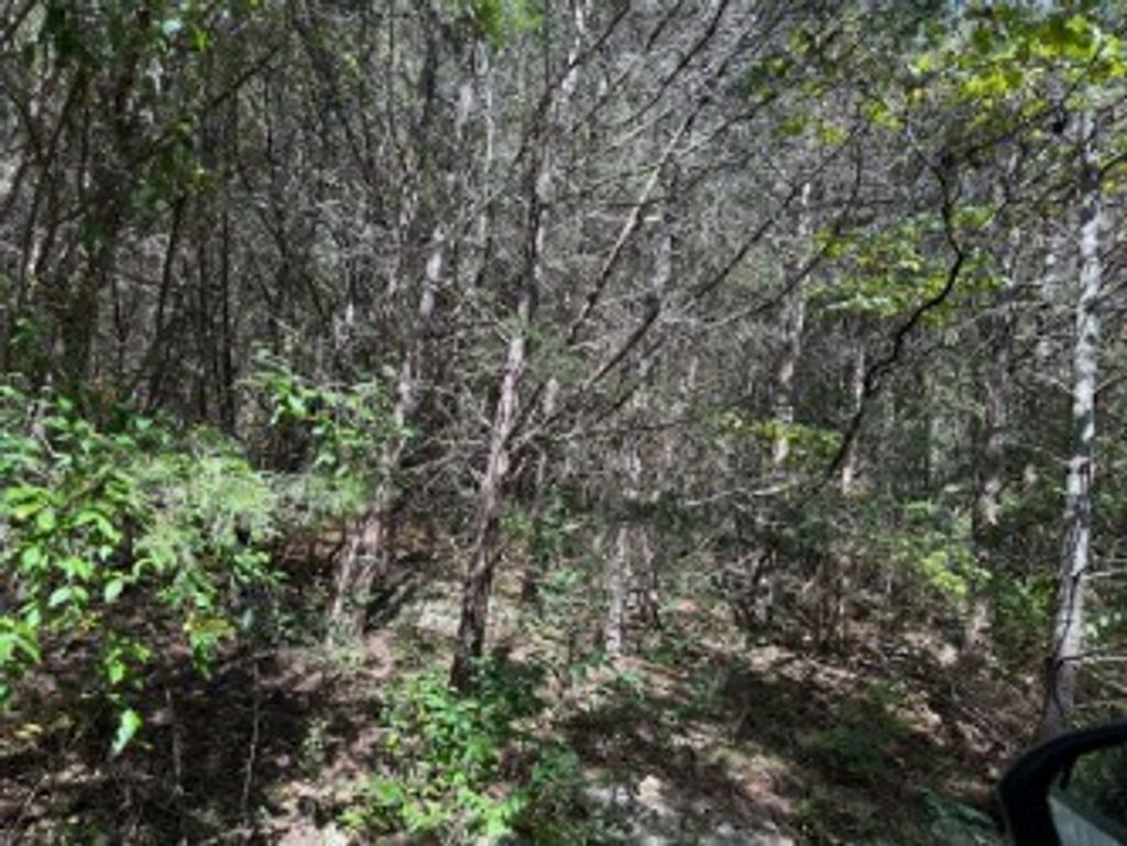 Photo of 0 TBD Martins Farm Rd #7-12, 51-52A, Cedar Bluff, VA 24609 (MLS # 103614)