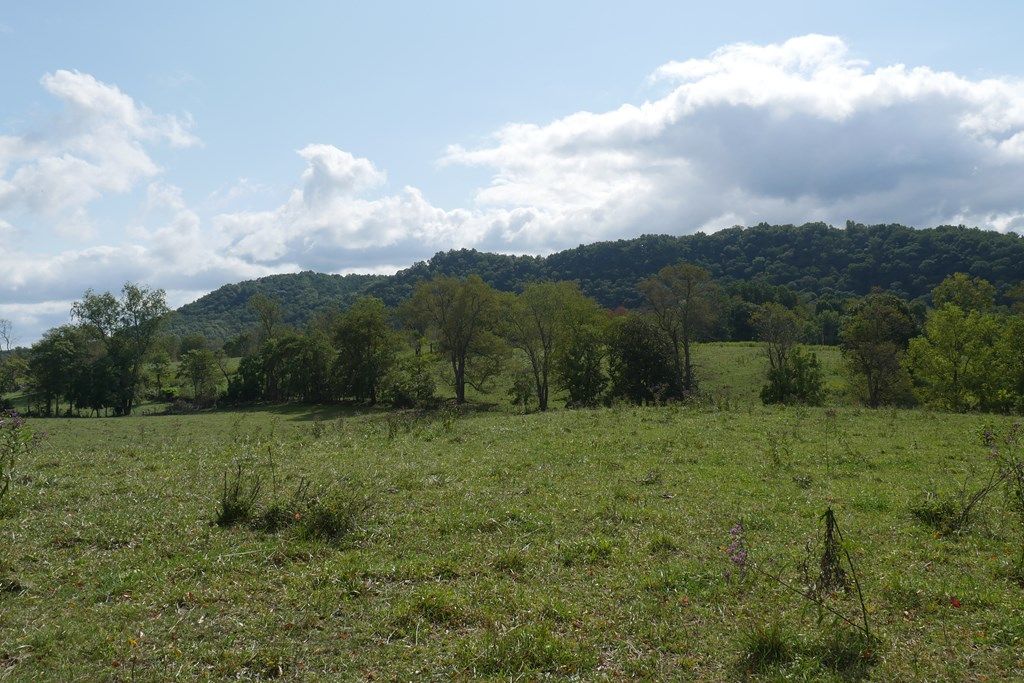 Photo of 16432 South Fork River Road #1, Glade Spring, VA 24340 (MLS # 103490)